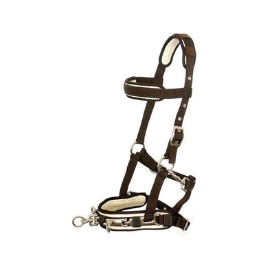 Kappzaum "Favour" Pony braun-beige