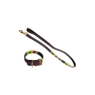 Chukka Dog Set M grün