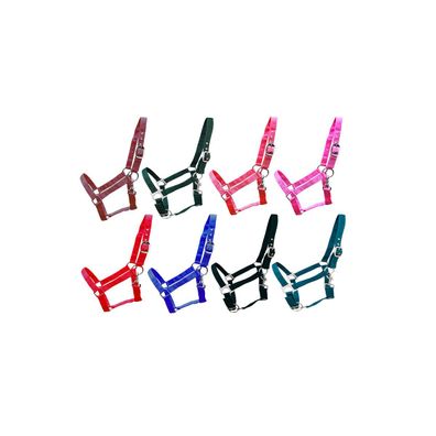 Kunststoffhalfter "Basic" Minishetty rot
