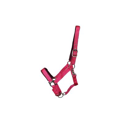 Kunststoffhalfter Basic "Paddy" Cob magenta