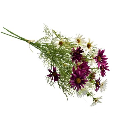 Wiese Gänseblümchen lila 70 cm