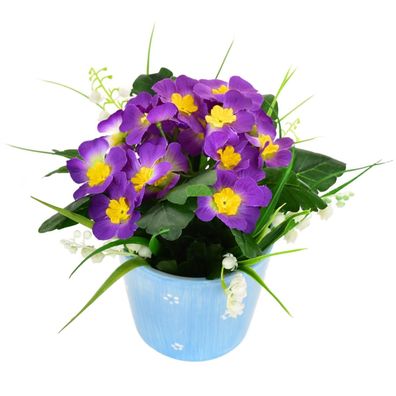 Primel lila im Keramiktopf 20×19 cm