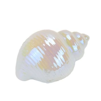 Keramische Muschel, weiße Perle, 7x10 cm