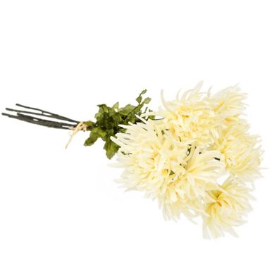 Blumenstrauß aus cremefarbenen Chrysanthemen 6 Stück, 70 cm