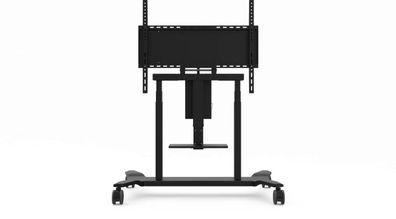 Viewsonic Universal Multimedia-Wagen / Trolley, black