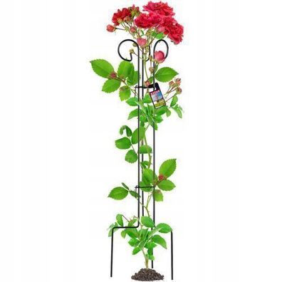 KADAX Rankhilfe aus Stahl, freistehende Pflanzenstütze für Rosen, 120 cm