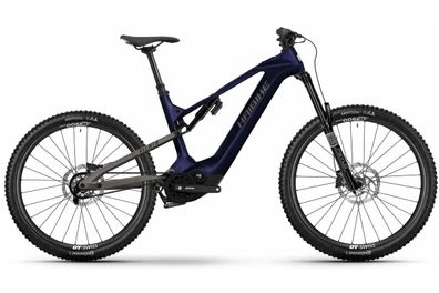 Haibike Elektro-Fahrrad 29 ALLMTN CF 10 TRN/IQ i800Wh 12-Gang Pinion Riemen Gr L