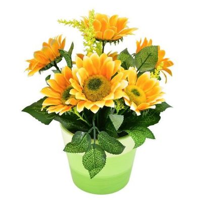 Sonnenblume in einem Topf 26×25 cm