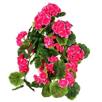 Muskateller überhängend rosa im Keramiktopf 50×35 cm
