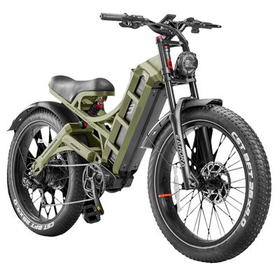 E-Mountainbike Eahora Offroad Elektrofahrrad mit 48V60Ah Akku 26" FetterReifen E-Bike