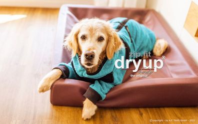 Dryup Body Zip Fit petrol