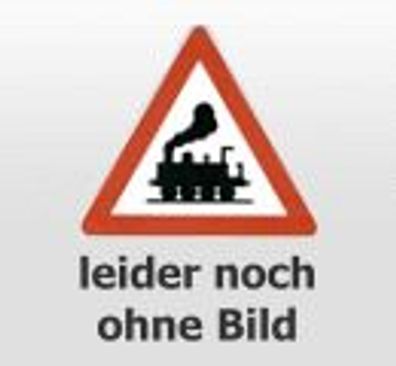 Arnold HN6708 4-achs. Getreidesilowagen Tucher, hellbl Spur N