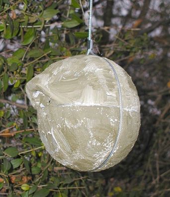 Naturschutzprodukt Nisthilfe Zaunkönigkugel 1ZA Efeu grün Flugloch 30 x 27 mm