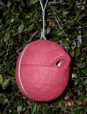 Naturschutzprodukt Nisthilfe Zaunkönigkugel 1ZA Herbstlicht rot Flugloch 30 x 27 mm