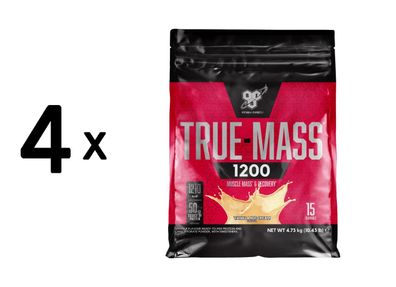 4 x BSN True Mass 1200 (4.73kg) Vanilla Ice Cream