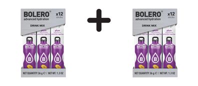 2 x Bolero Sticks (12x3g) Plum