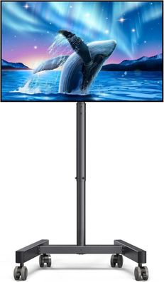 TV Ständer Rollbar 13-50 Zoll Neigung Höhenverstellbar LED LCD OLED