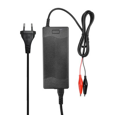 LiFePO4 Akku 36V 6Ah 10A 216Wh Lithium-Eisen-Phosphat Batterie für Camping Boot