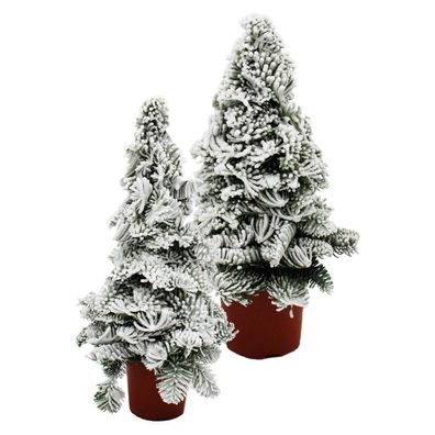Paraffinbäumchen Tannenbaum mit Schnee Weihnachtsdeko Tannengesteck mit