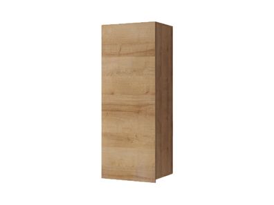 BETTSO Moderner vertikaler Hängeschrank mit einer Tür BIRD 100 / Goldene Eiche