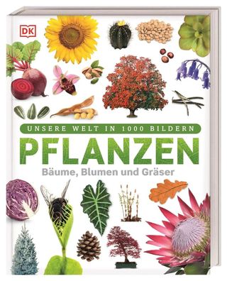 Pflanzen | Bäume, Blumen und Gräser | Sarah Jose | Buch | 192 S. | Deutsch