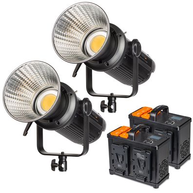 Walimex pro LED 2x Niova 500 Plus Daylight 500W Studioleuchte Videolicht Leuchte