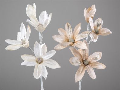 Formano Magnolie 25cm creme+beige so