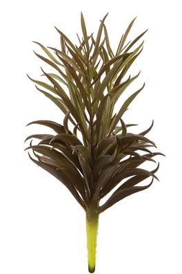Fink Echeverie, Kunstblume, synthetische Faser, grün, braun, D. 9 cm Durchmesser: