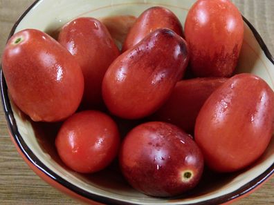 TOMATE Märchen FEE 5+ Samen - samenfeste deutsche Cocktailtomate P 624