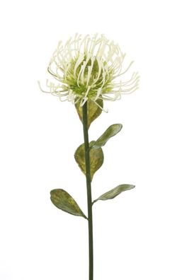 Gilde Protea ''Nikita'' aus Kunststoff · creme-hellgrün Höhe 49 cm 53948