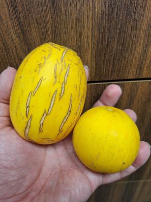Honigmelone QUITO AUS Ecuador 5+ Samen Cm 047