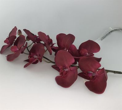 Gilde Orchidee/Coat "Phalaenopsis" mit 9 Orchideen-Blüten dunkel rot