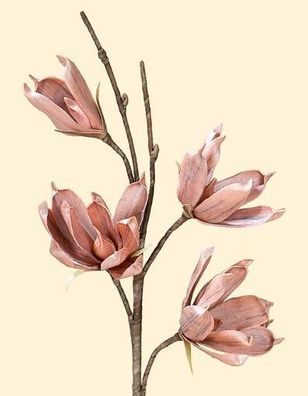 Gilde Deko Magnolie mit 4 Blü?ten 42631 Kunstblume