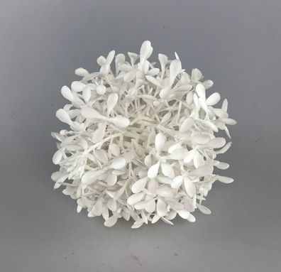 Formano Teeblattball 12 weiss 666420
