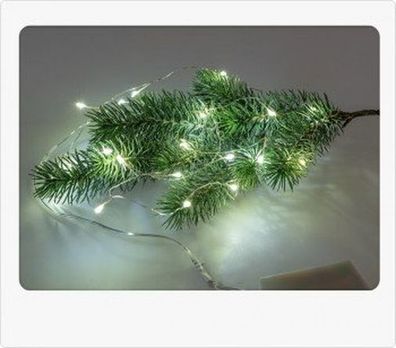 Formano Lichterkette 120 cm mit 20 LED Lichtern 634016