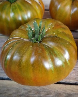 Russische Fleischtomate Ahornsirup - MAPLE SYRUP 5+ Samen P 630