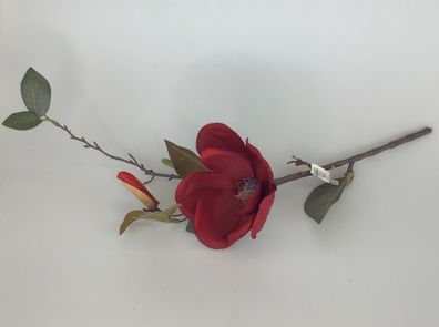 Formano Magnolie 40cm bordeaux sort