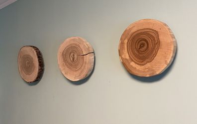 Runder Wandschmuck aus massiver Esche im rustikalen Stil