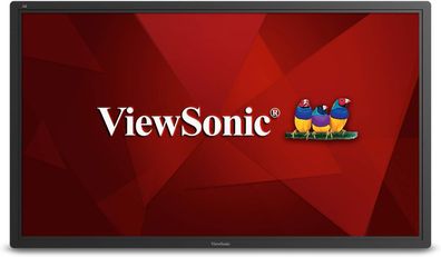 ViewSonic CDE6502 ?65 Zoll Monitor 8ms VGA, USB, HDMI