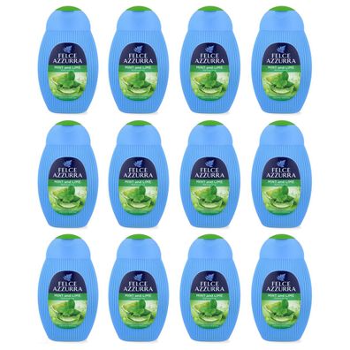 Paglieri Felce Azzurra Duschgel Minze & Limette 12 x 250 ml