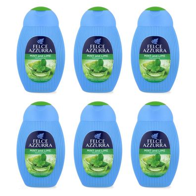 Paglieri Felce Azzurra Duschgel Minze & Limette 6 x 250 ml