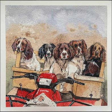 Alex Clark Hunde Working Spaniels Grußkarte 140x140 mm incl. Umschlag 0011