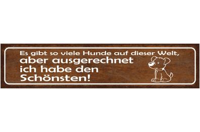 Schild Es Gibt Viele Hunde Auf Dieser Welt Aber Ich Habe den Schönsten 46 x 10