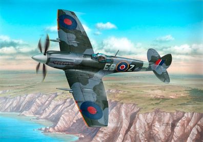 Special Hobby 1:48 100-SH48107 Supermarine Spitfire Mk. XII