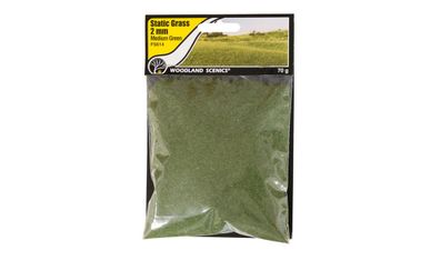 Woodland Scenics WFS614 Landschaftsbau 2mm Static Grass Medium Green