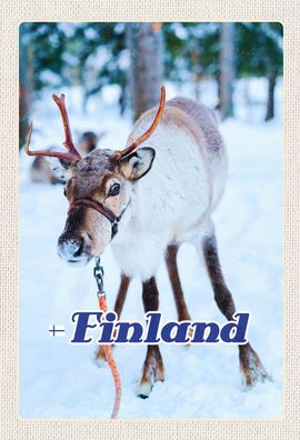 Schild Spruch Finland Finnland Rentier Wald Schnee Winter JW