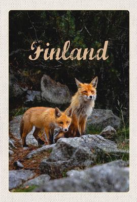 Schild Spruch Finland Finnland Féchse Wald JW
