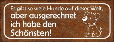 Schild Es Gibt Viele Hunde Auf Der Welt Aber Ausgerechnet Ich Habe Den Schönsten