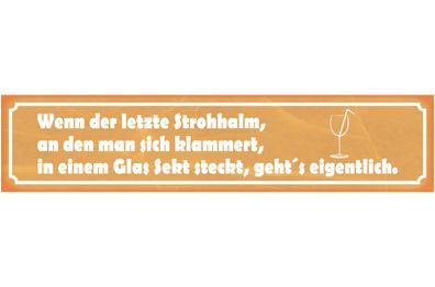 Schild Letzter Strohhalm Klammern Glas Sekt Alkohol Bar 46 x 10 Blech od. Holz