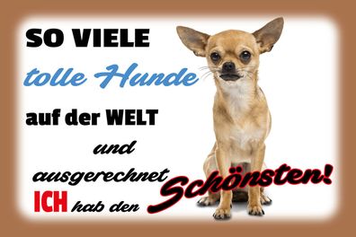 Schild Spruch So viele tolle Hunde auf Welt Ich hab den schönsten Chihuahua JW